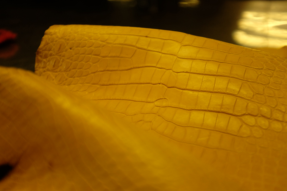 About Us - Thailand No.1 Crocodile Leather Manufacturer