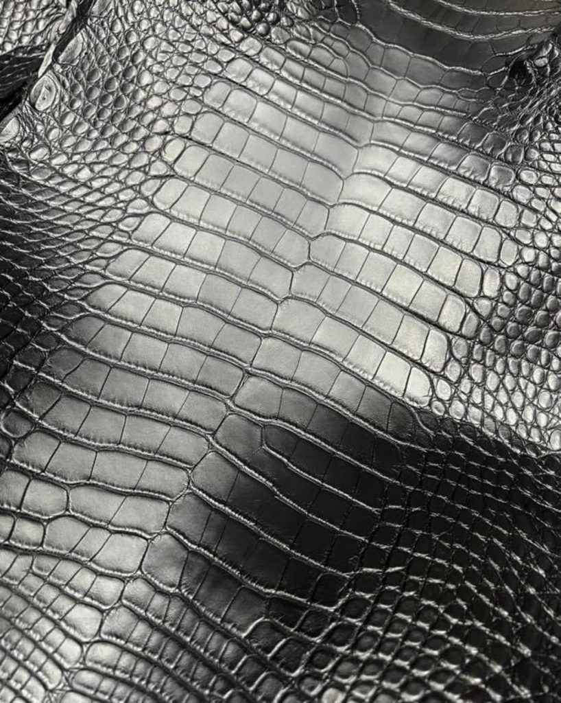 Polished Crocodile