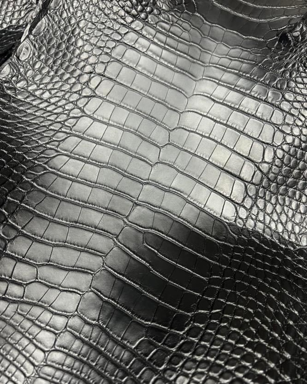 Polished Crocodile