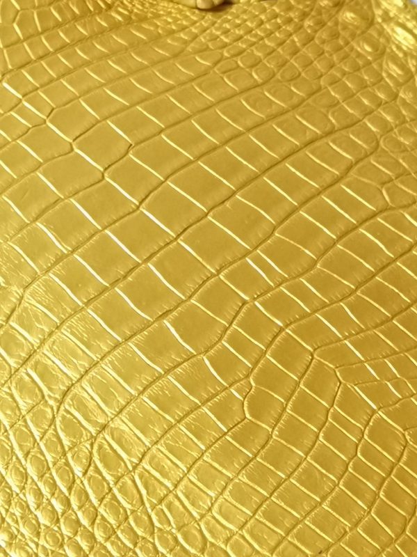 Crocodile Leather