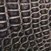 Prism Gator Black