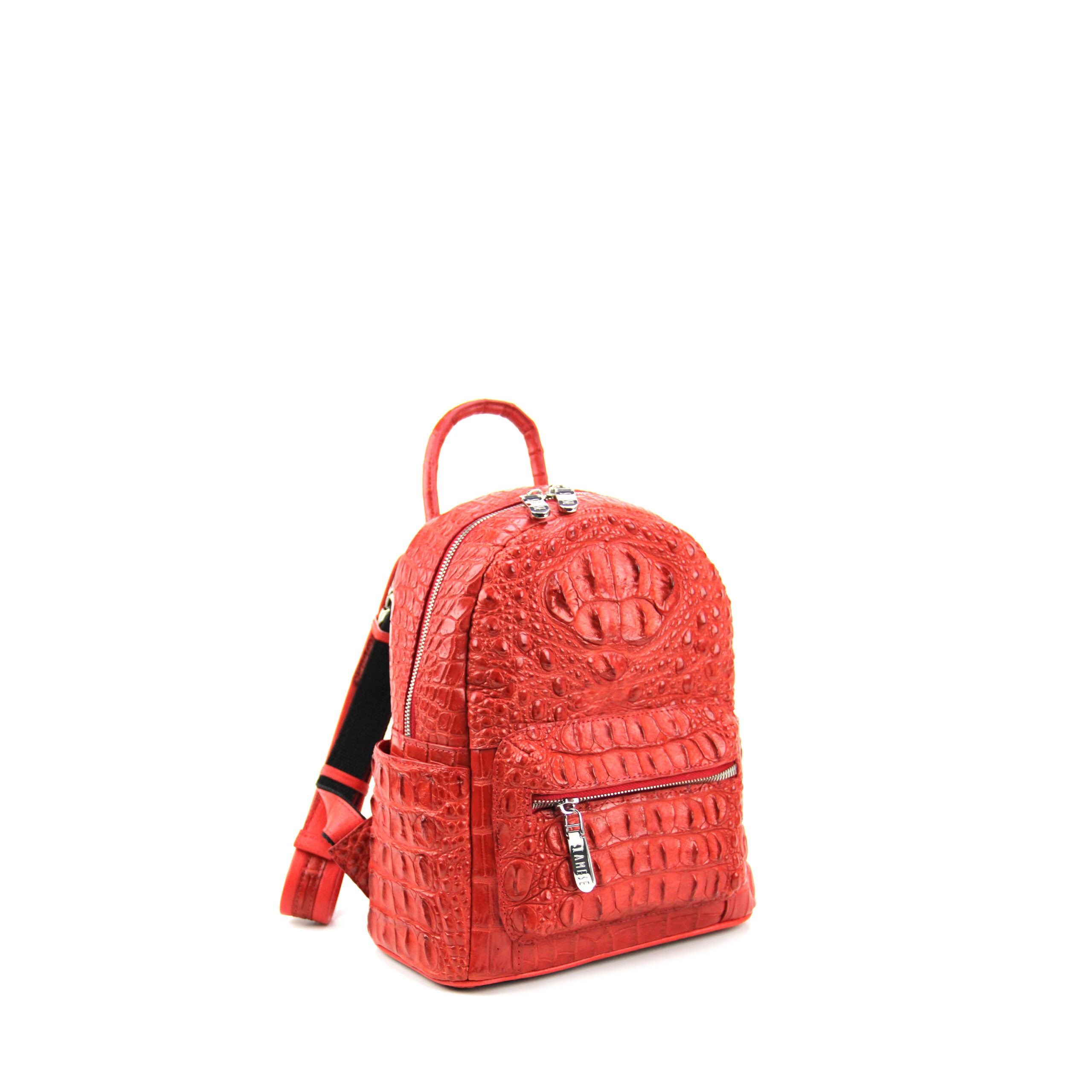 Alternative view of 483